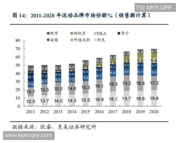 安踏与李宁篮球鞋全面对比哪个品牌更适合你的篮球需求